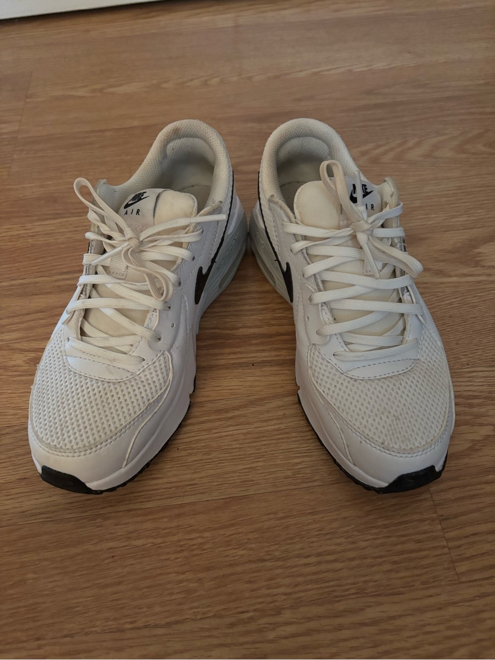 Nike Air Max White and Black Air Mesh Sneakers